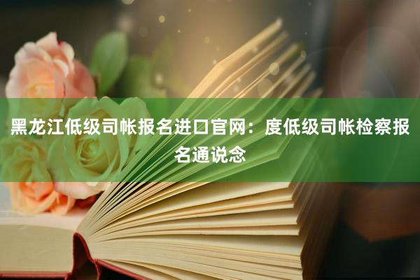 黑龙江低级司帐报名进口官网：度低级司帐检察报名通说念