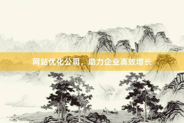 网站优化公司，助力企业高效增长